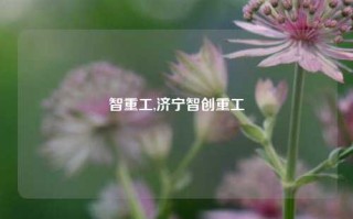 智重工,济宁智创重工