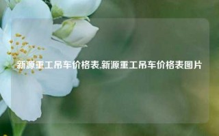 新源重工吊车价格表,新源重工吊车价格表图片