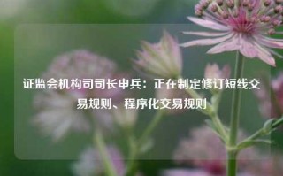 证监会机构司司长申兵：正在制定修订短线交易规则、程序化交易规则