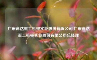 广东高达重工机械实业股份有限公司,广东高达重工机械实业股份有限公司总经理