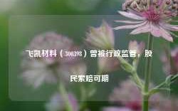 飞凯材料（300398）曾被行政监管，股民索赔可期