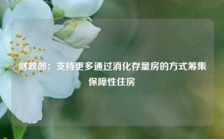 财政部：支持更多通过消化存量房的方式筹集保障性住房