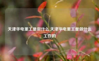 天津华电重工是做什么,天津华电重工是做什么工作的