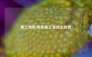 重工电影,电影重工业什么意思