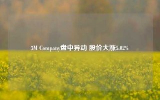 3M Company盘中异动 股价大涨5.02%