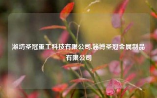 潍坊圣冠重工科技有限公司,淄博圣冠金属制品有限公司