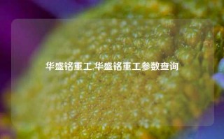 华盛铭重工,华盛铭重工参数查询