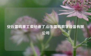 安丘雷鸣重工卖给谁了,山东雷鸣教学设备有限公司