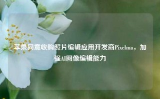 苹果同意收购照片编辑应用开发商Pixelma，加强AI图像编辑能力