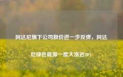 阿达尼旗下公司股价进一步反弹，阿达尼绿色能源一度大涨近20%