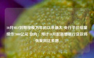 10月MLF到期规模为年初以来最大 央行平价缩量续作7000亿元 业内：预计10月起新增银行贷款将恢复同比多增