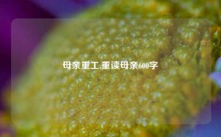 母亲重工,重读母亲600字