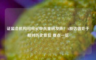 证监会机构司司长申兵重磅发声！A股估值处于相对历史低位 要点一览