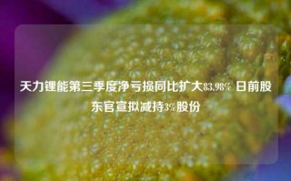 天力锂能第三季度净亏损同比扩大83.98% 日前股东官宣拟减持3%股份