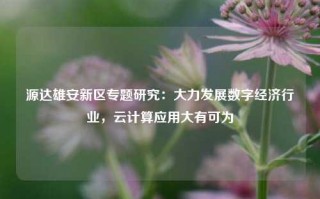 源达雄安新区专题研究：大力发展数字经济行业，云计算应用大有可为