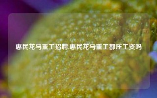 惠民龙马重工招聘,惠民龙马重工都压工资吗