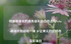 特朗普提名的商务部长的公司正与Tether商谈计划启动一项 20 亿美元的比特币贷款项目