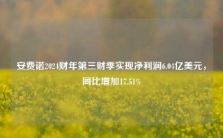 安费诺2024财年第三财季实现净利润6.04亿美元，同比增加17.51%