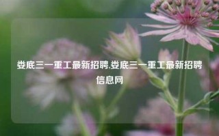 娄底三一重工最新招聘,娄底三一重工最新招聘信息网