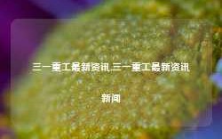 三一重工最新资讯,三一重工最新资讯新闻