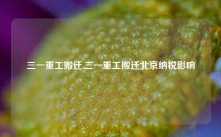 三一重工搬迁,三一重工搬迁北京纳税影响