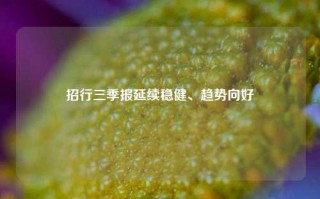 招行三季报延续稳健、趋势向好