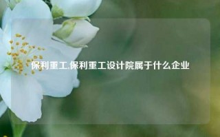 保利重工,保利重工设计院属于什么企业