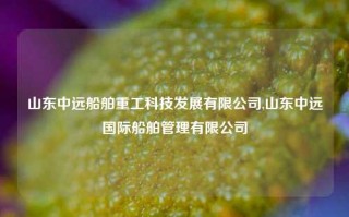 山东中远船舶重工科技发展有限公司,山东中远国际船舶管理有限公司