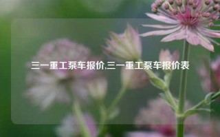 三一重工泵车报价,三一重工泵车报价表