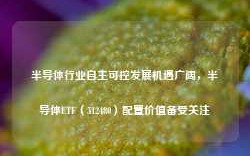 半导体行业自主可控发展机遇广阔，半导体ETF（512480）配置价值备受关注