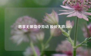 思享无限盘中异动 股价大跌5.66%