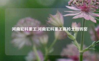 河南宏科重工,河南宏科重工高岭土回转窑