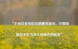 “不必过多纠结短期震荡波动，行情调整也不失为买入或换仓的机会”