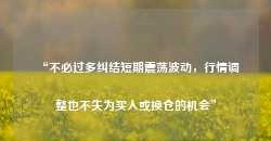 “不必过多纠结短期震荡波动，行情调整也不失为买入或换仓的机会”