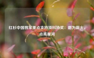 红杉中国独家重点支持顶科协奖：愿为薪火，点亮星河