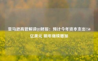 亚马逊高管解读Q3财报：预计今年资本支出750亿美元 明年继续增加