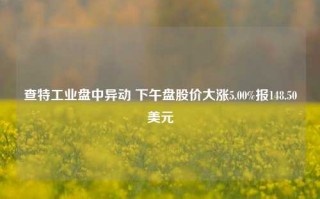 查特工业盘中异动 下午盘股价大涨5.00%报148.50美元