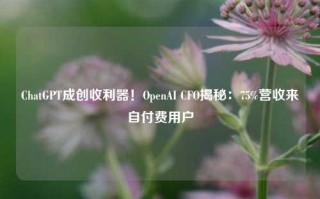 ChatGPT成创收利器！OpenAI CFO揭秘：75%营收来自付费用户