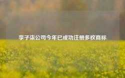 李子柒公司今年已成功注册多枚商标