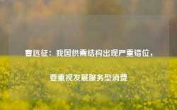 曹远征：我国供需结构出现严重错位，要重视发展服务型消费