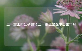 三一重工梁公子驸马,三一重工梁在中出生年月