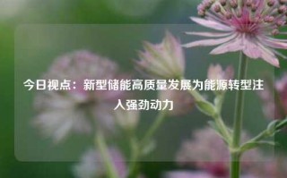 今日视点：新型储能高质量发展为能源转型注入强劲动力