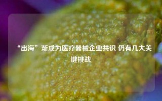 “出海”渐成为医疗器械企业共识 仍有几大关键挑战