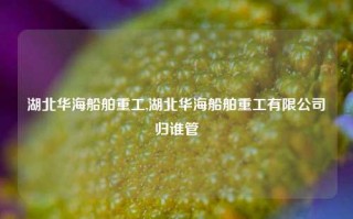 湖北华海船舶重工,湖北华海船舶重工有限公司归谁管