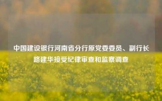 中国建设银行河南省分行原党委委员、副行长路建华接受纪律审查和监察调查