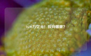 16.02万亿元！投向哪里？