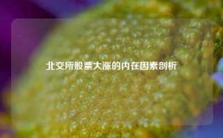 北交所股票大涨的内在因素剖析