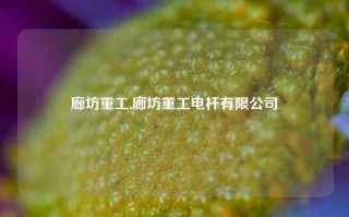 廊坊重工,廊坊重工电杆有限公司