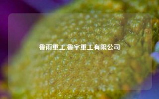 鲁雨重工,鲁宇重工有限公司