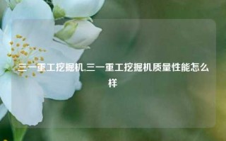 三一重工挖掘机,三一重工挖掘机质量性能怎么样